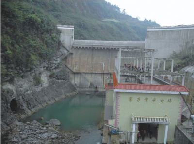貴沿河縣墨子灣電站大壩、廠房、機(jī)組安裝交鑰匙工程